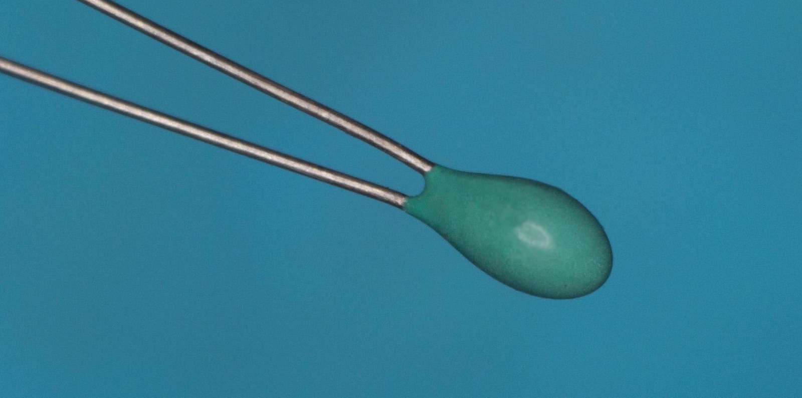 1FE NTC Thermistor product photo